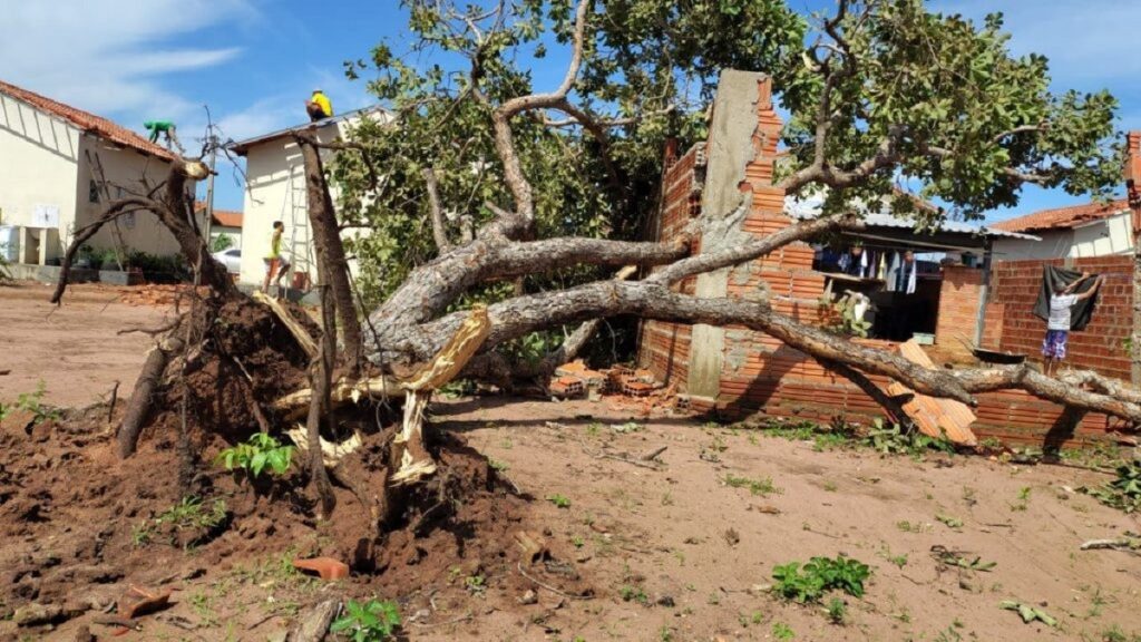 Prefeitura decreta situação de emergência após temporal danificar casas na região sul de Palmas