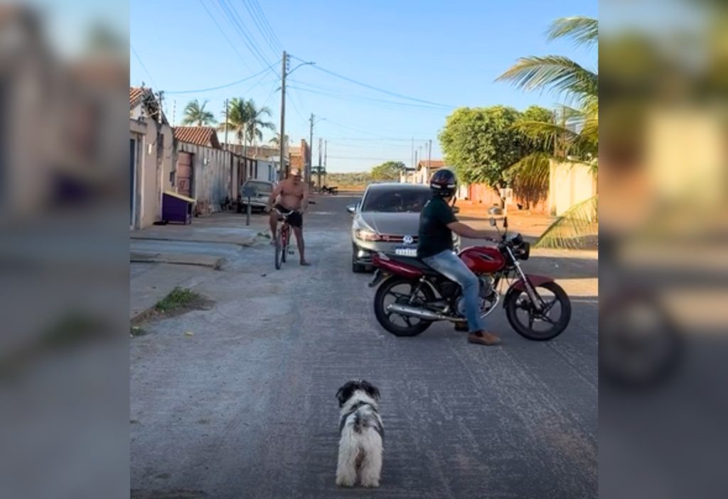 Influenciador faz manobra para estacionar moto, para o trânsito e diverte a web: ‘Parece que tá manobrando carreta’